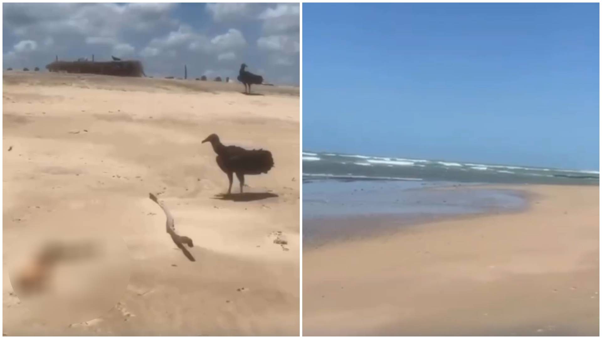 Mistério em Paracuru: braço humano é encontrado em praia; polícia e perícia investigam