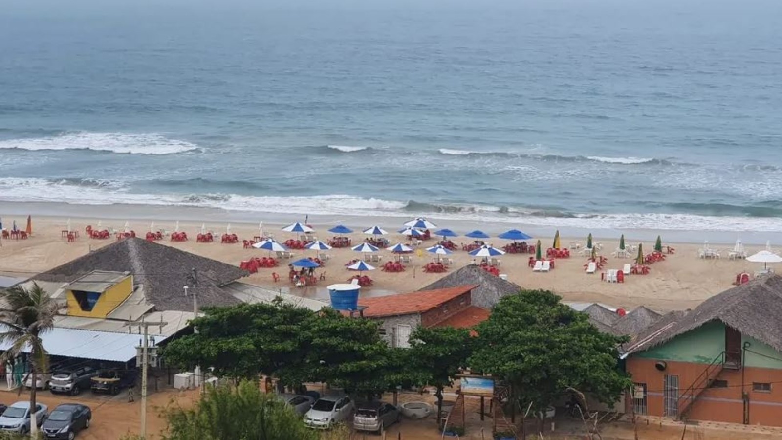Obra embargada e 50 árvores derrubadas: homem de 52 anos é preso por crime ambiental na Praia do Morro Branco