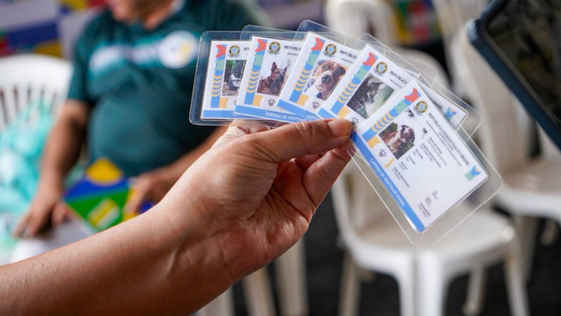 Sem agendamento: mutirão oferece emissão de documentos, perícia do INSS e vacinação de pets em Fortaleza; veja como participar