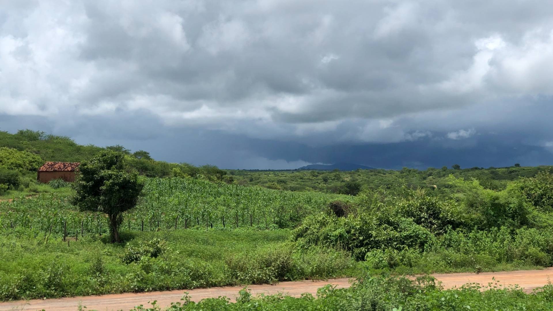 Ceará tem 33 cidades em alerta para chuvas intensas e ventos de até 60 km/h até a manhã de domingo (31)