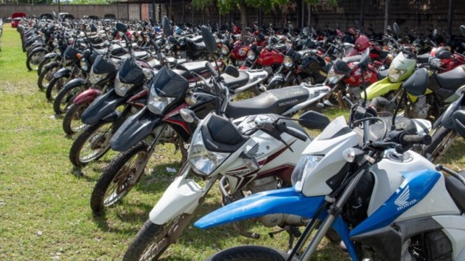 Detran-CE leiloa 290 veículos a partir de R$ 100 em evento online; veja como participar