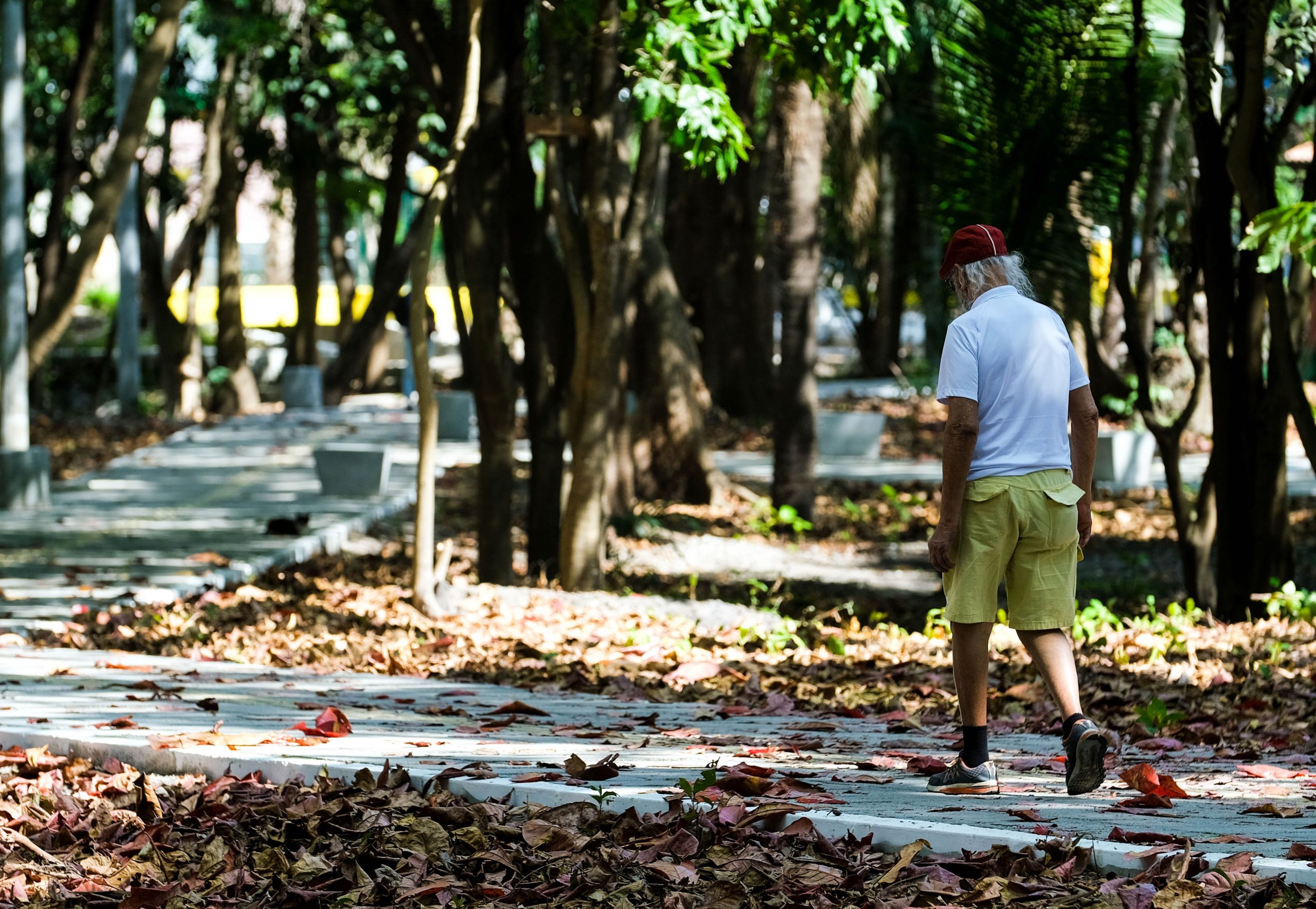 Município de 6 mil habitantes lidera qualidade de vida no Ceará e supera Fortaleza, aponta IPS 2026