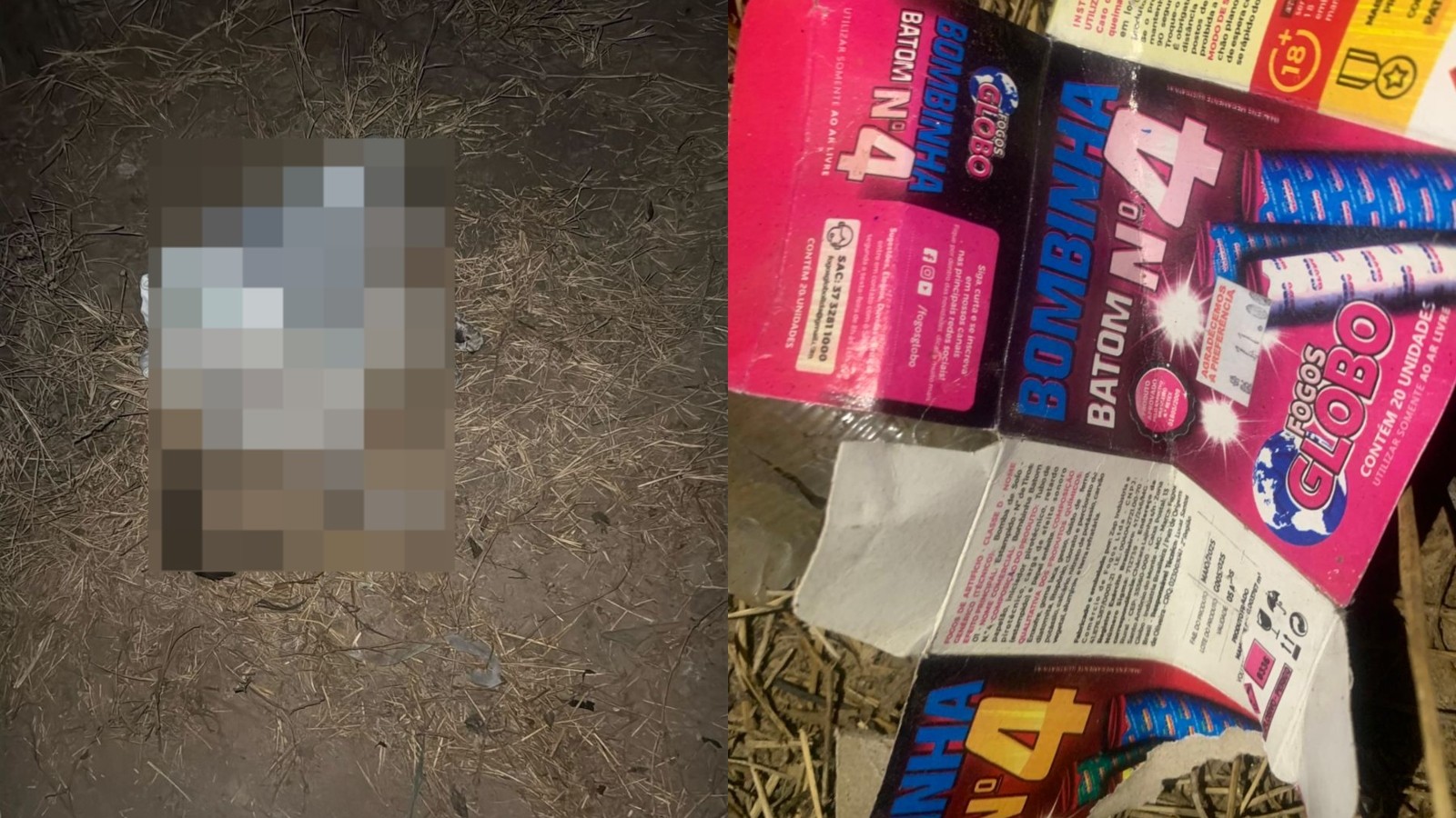 Denúncia de gato morto com explosivos leva três crianças e responsáveis à delegacia em Assaré; Polícia Civil investiga