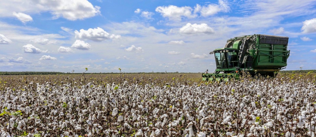 PIB do Ceará sobe 1,93% no 1º trimestre de 2026, supera o Brasil e tem agropecuaria na liderança