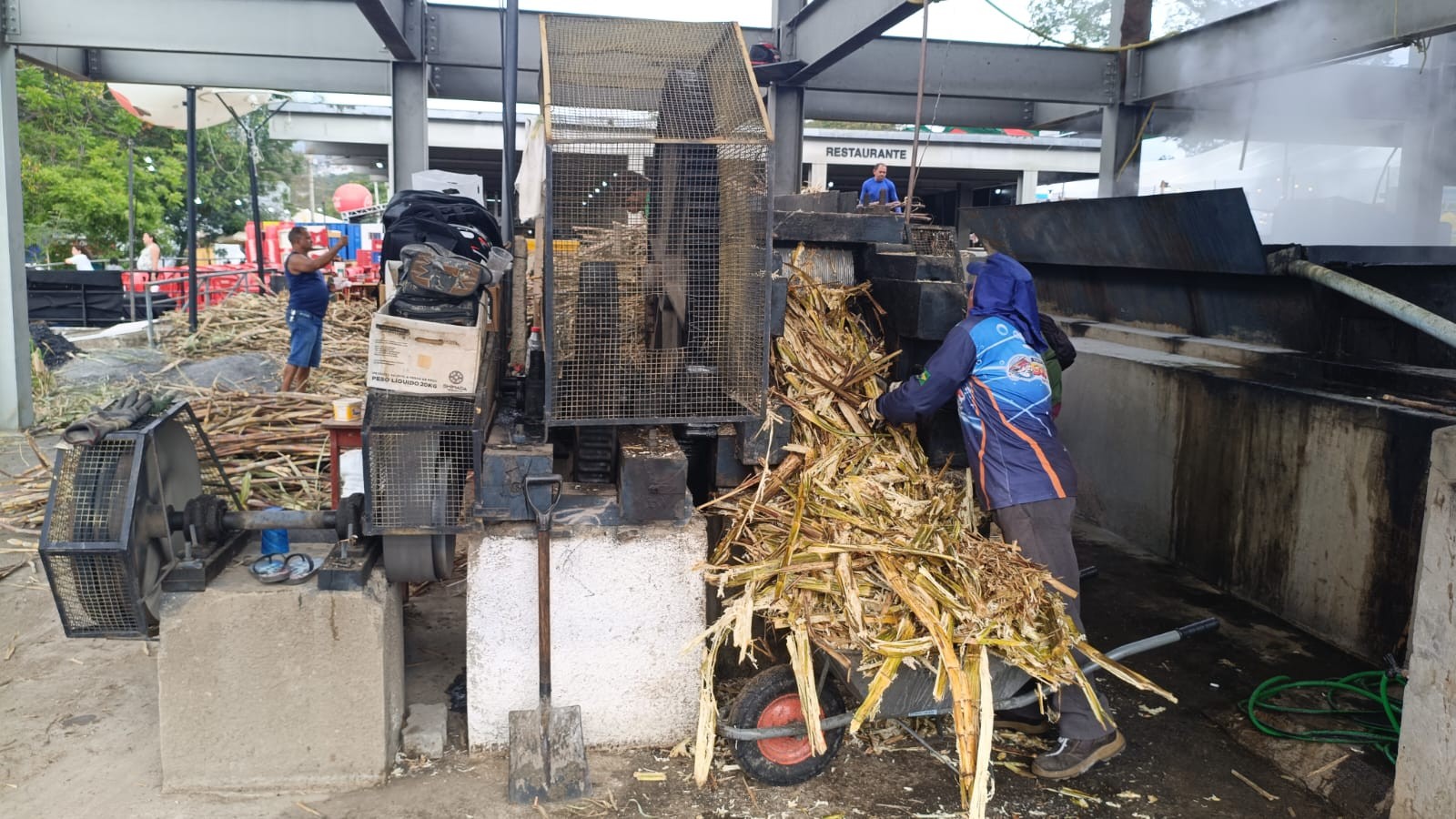 Caldo de cana atrai visitantes na Expocrato; moenda ao vivo deve usar 95 toneladas até segunda-feira (20)