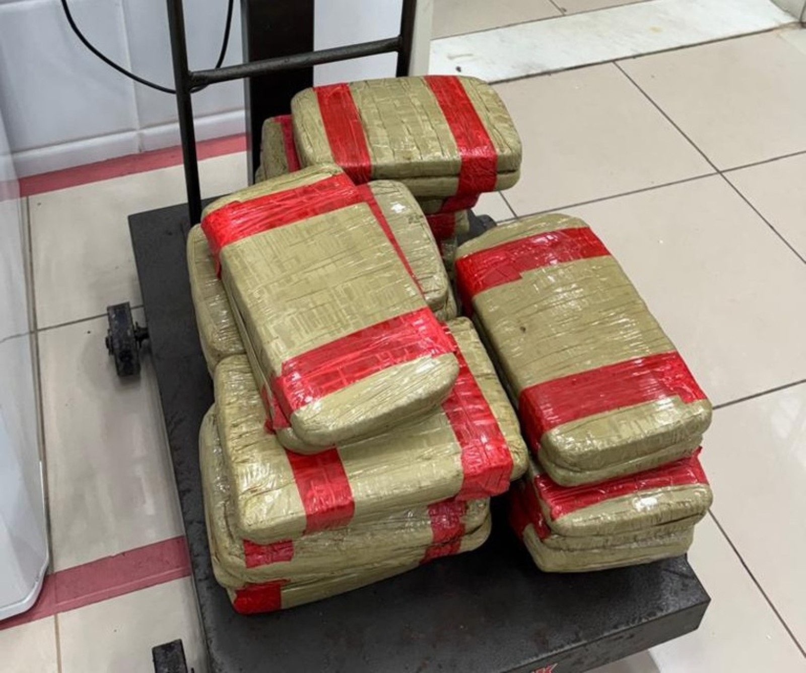 Voo Manaus-Fortaleza termina com prisão e 32 kg de skunk apreendidos pela PF