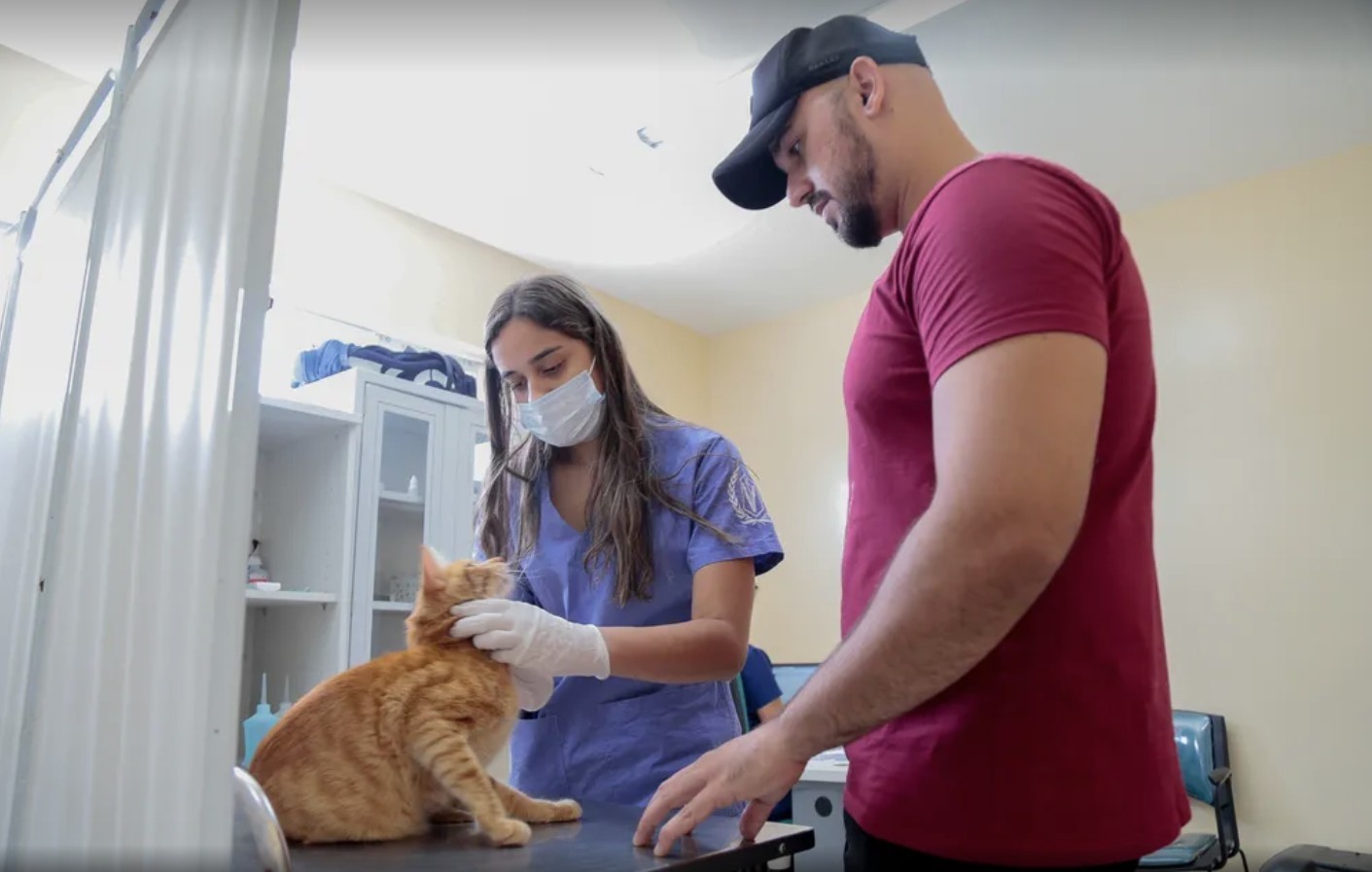 Fortaleza aciona 52 pontos de vacinação contra raiva neste sábado; meta é imunizar 300 mil cães e gatos