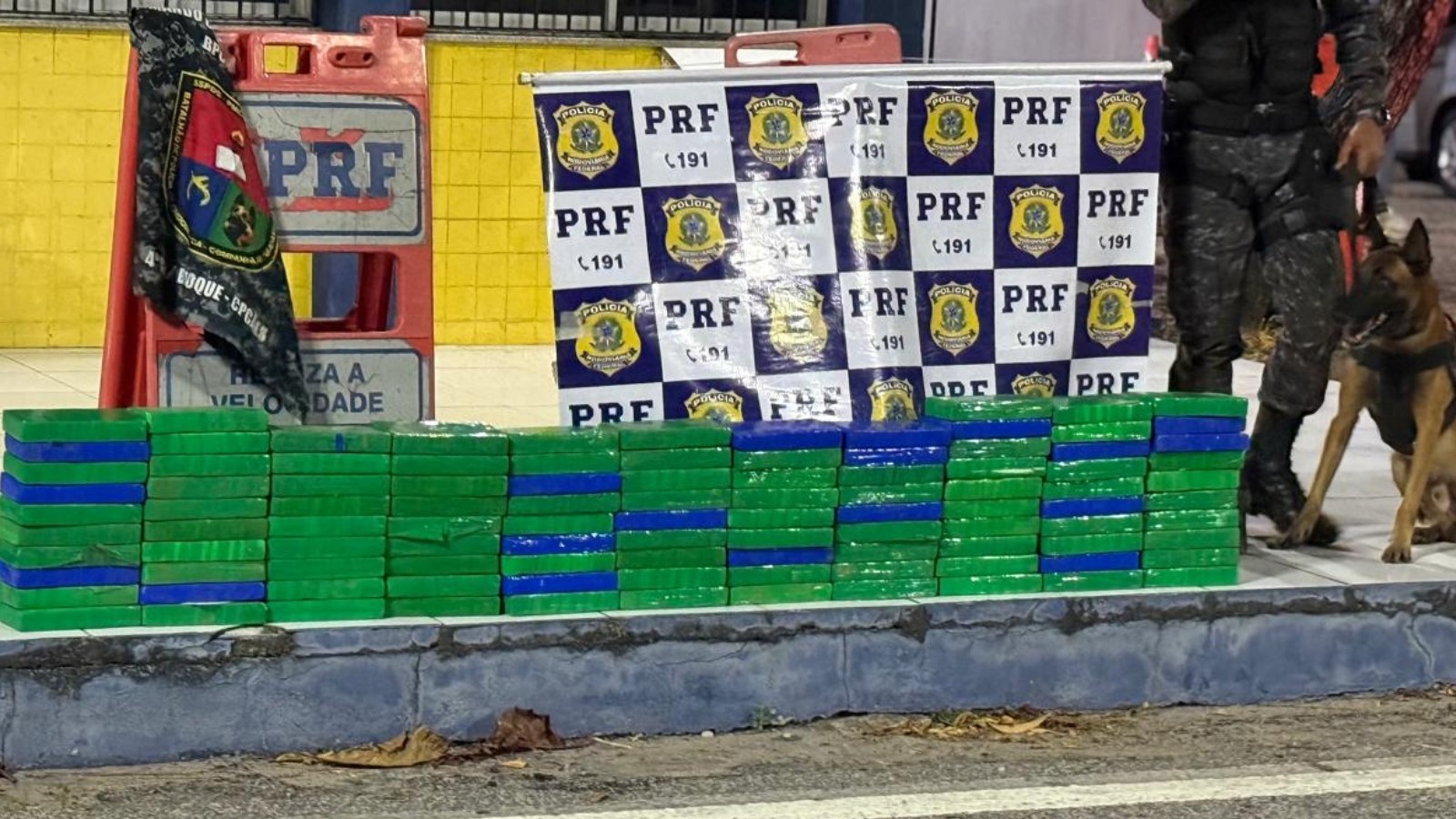 Cães farejadores descobrem 100 kg de cocaína na lataria de carro na BR-222; motorista é preso na Grande Fortaleza