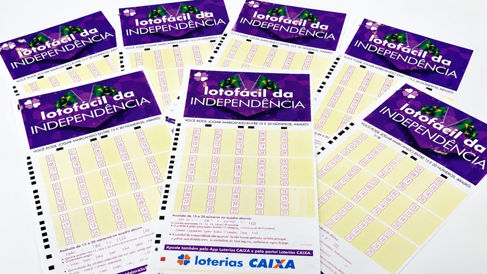 Três bolões do Ceará acertam a Lotofácil da Independência; cotas chegaram a R$ 2.930