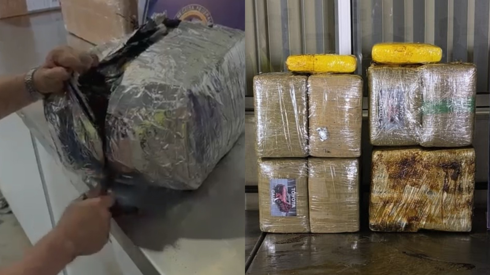Skunk escondido entre café e óleo: Receita Federal apreende 60 kg em transportadoras de Fortaleza
