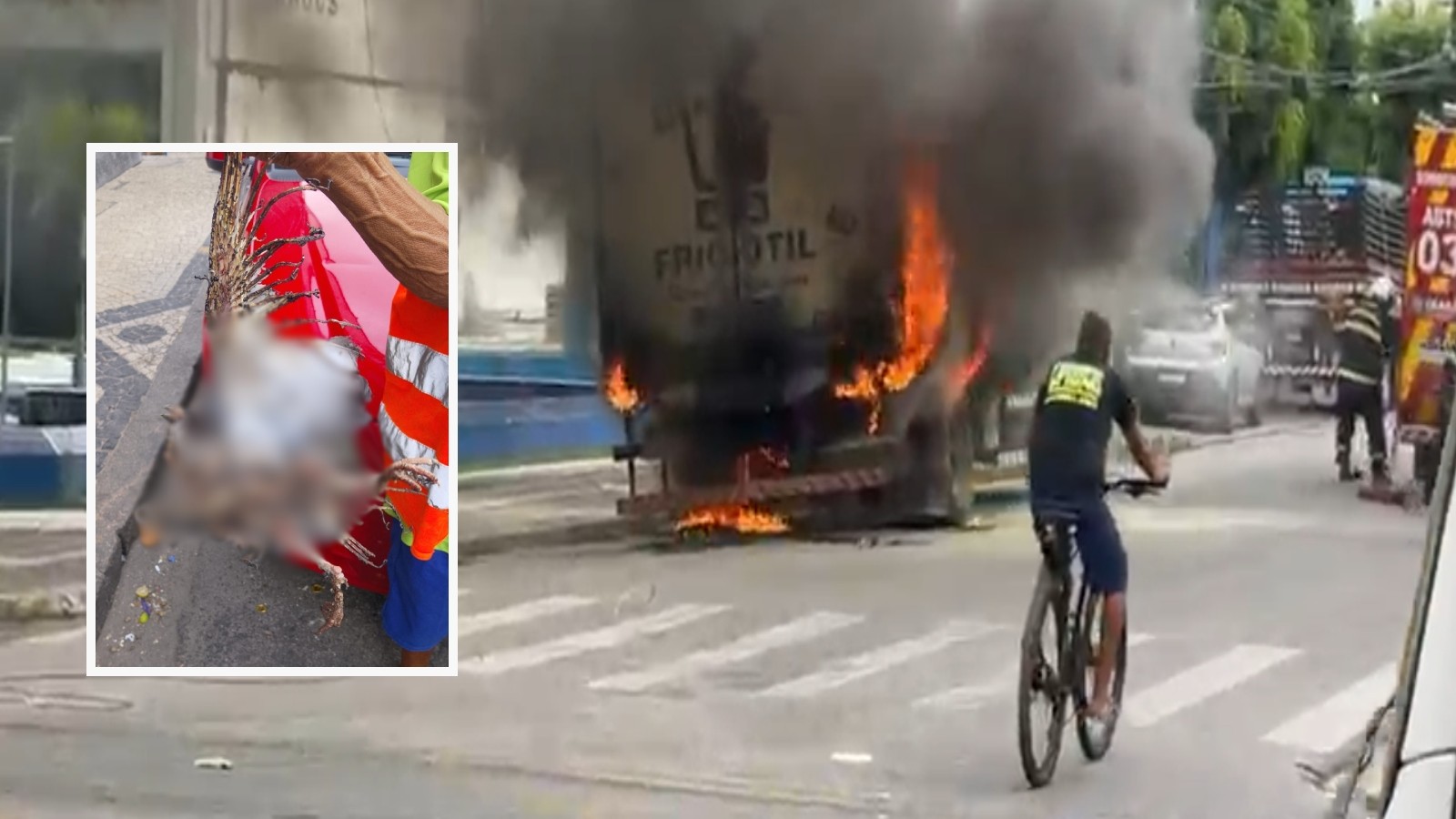 Pássaro eletrocutado rompe cabo e incendeia caminhão no Centro de Fortaleza; vídeos registram faíscas